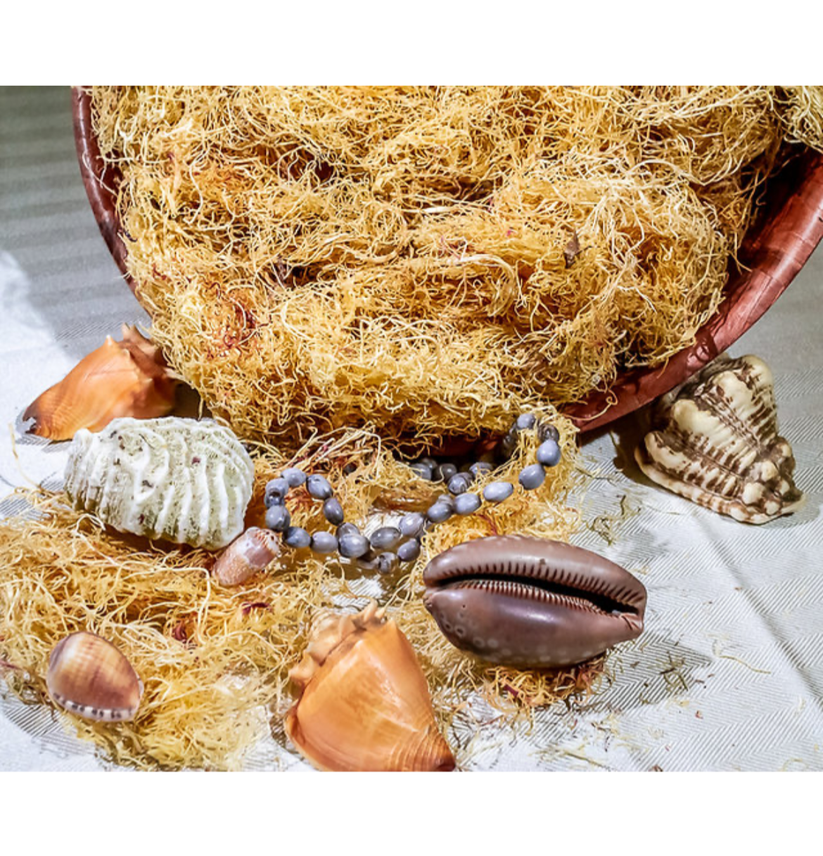Wild Crafted Sea Moss