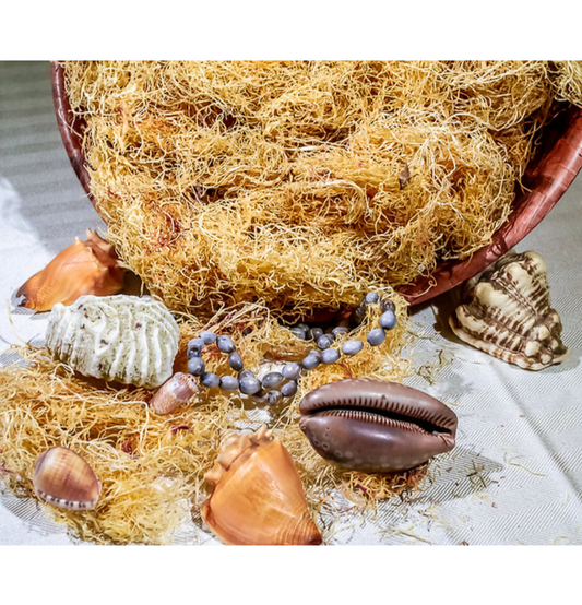 Wild Crafted Sea Moss